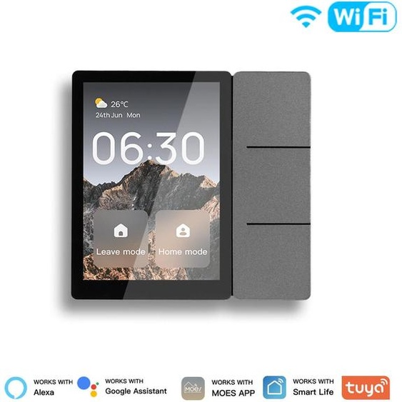 ZELURXX Tuya Smart Mini-centrale 3,5 pouces, interrupteurs muraux WiFi/ZigBee, thermostat, 3 voies, relais, infrarouge,domotique