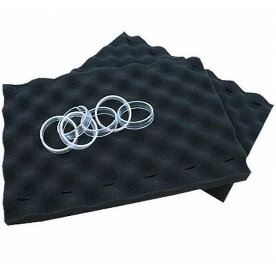 Lot de 2 brosses mousses + 14 clips pour robot indigo Zodiac w0887a